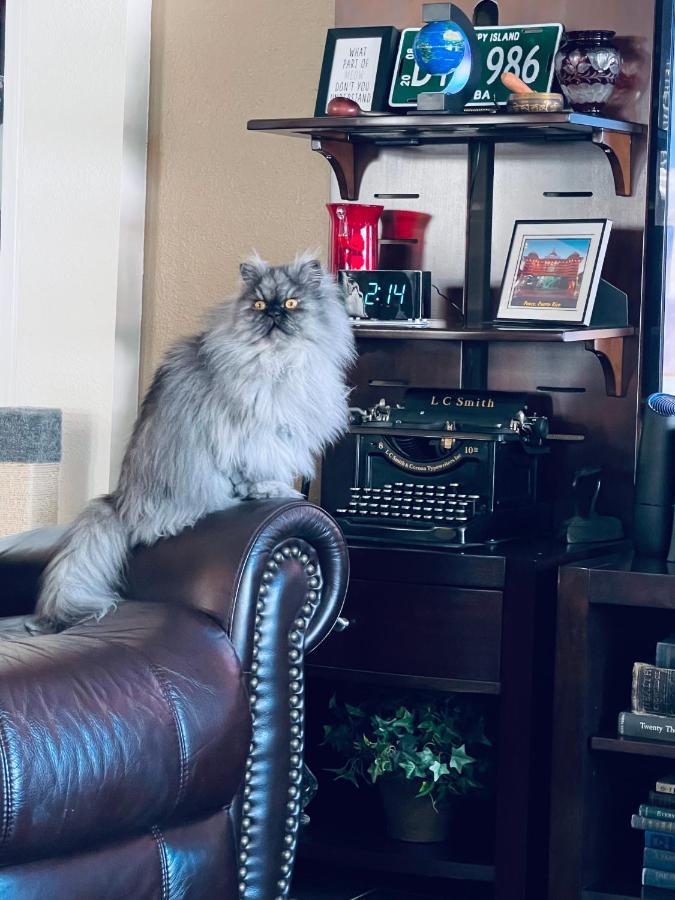 Ruskin Fl Private 2 Bdrm 1 Bath Suite Common Areas Shared With Host And Cat エクステリア 写真