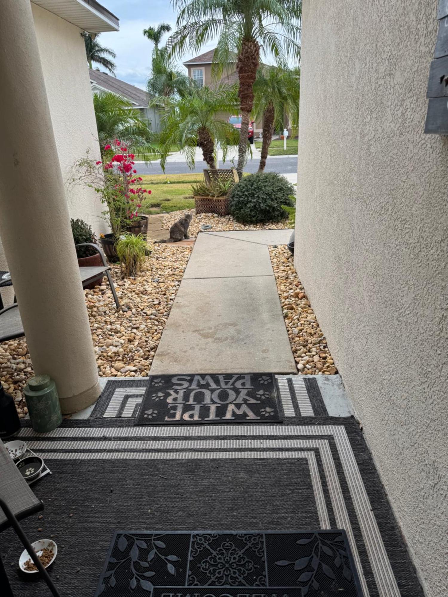 Ruskin Fl Private 2 Bdrm 1 Bath Suite Common Areas Shared With Host And Cat エクステリア 写真