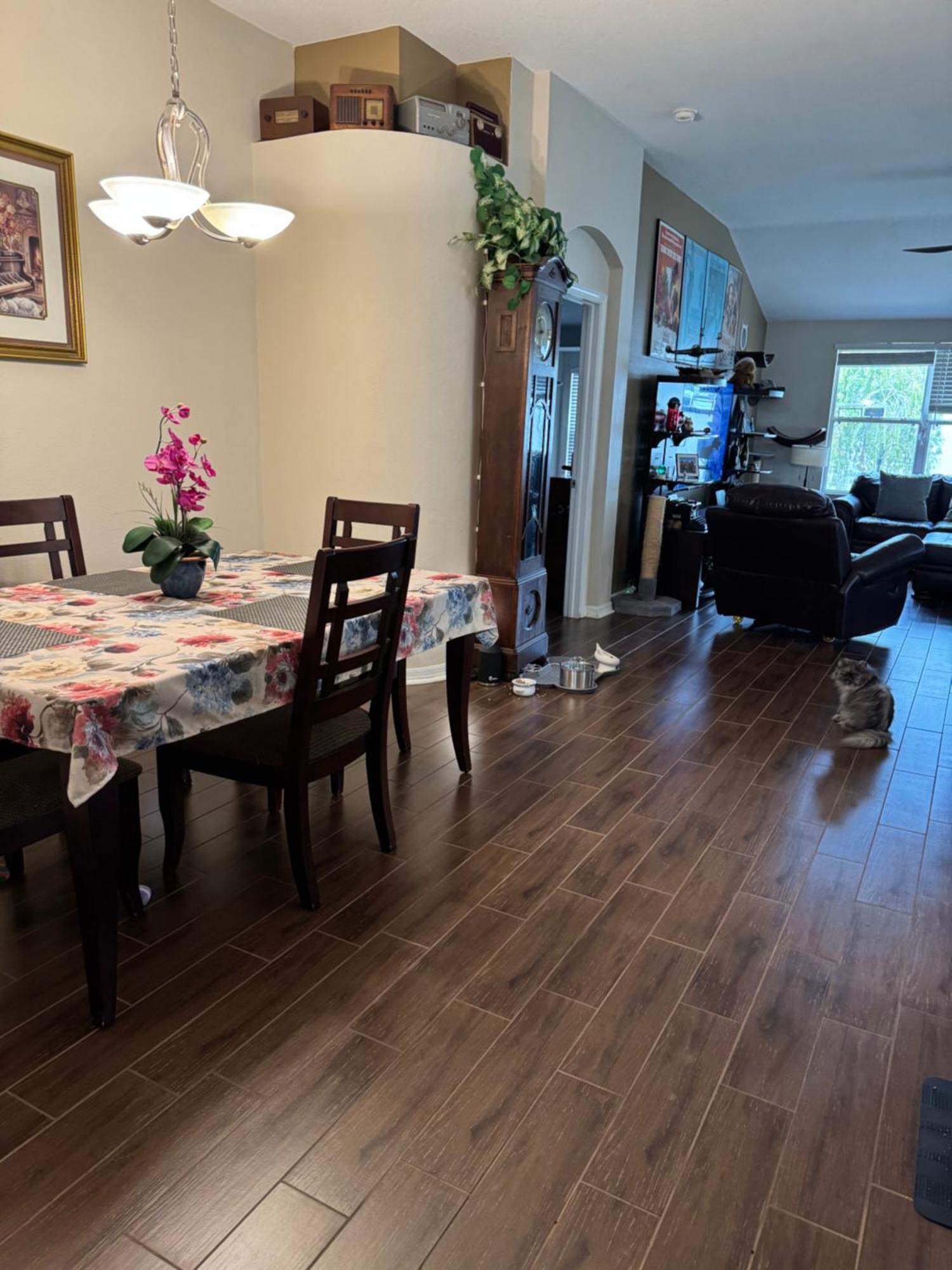 Ruskin Fl Private 2 Bdrm 1 Bath Suite Common Areas Shared With Host And Cat エクステリア 写真