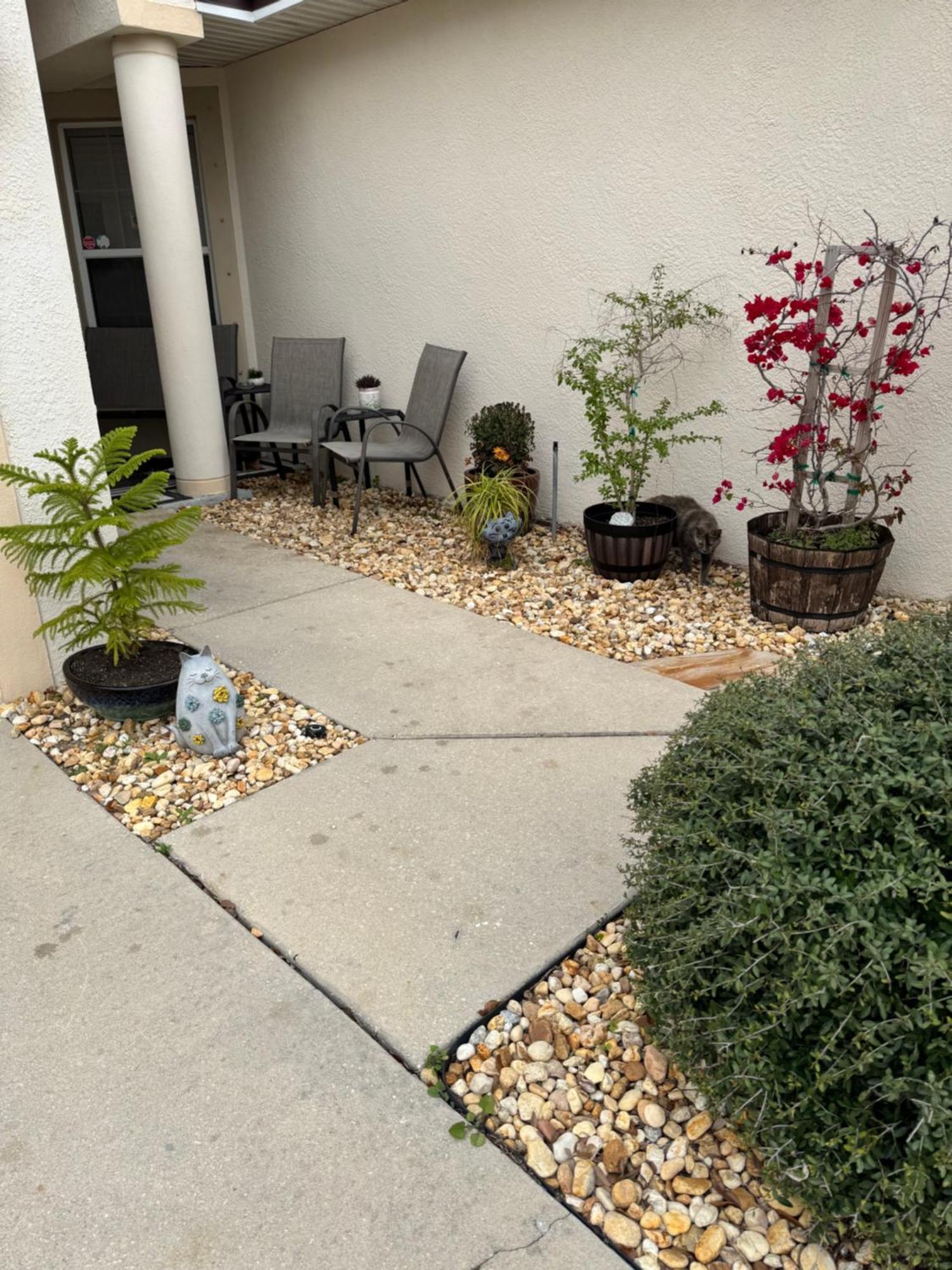 Ruskin Fl Private 2 Bdrm 1 Bath Suite Common Areas Shared With Host And Cat エクステリア 写真